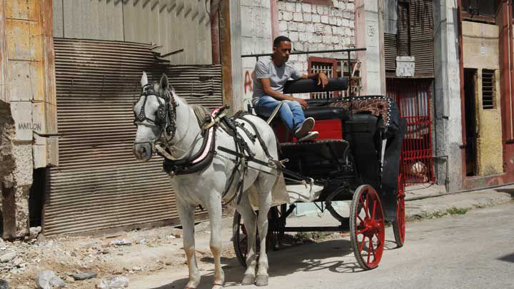 horse-carrige